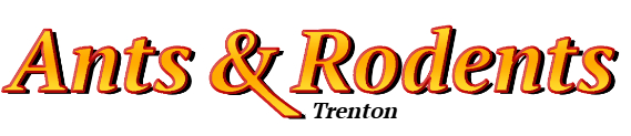 Trenton Ant Exterminator & Rodent Control Company Logo